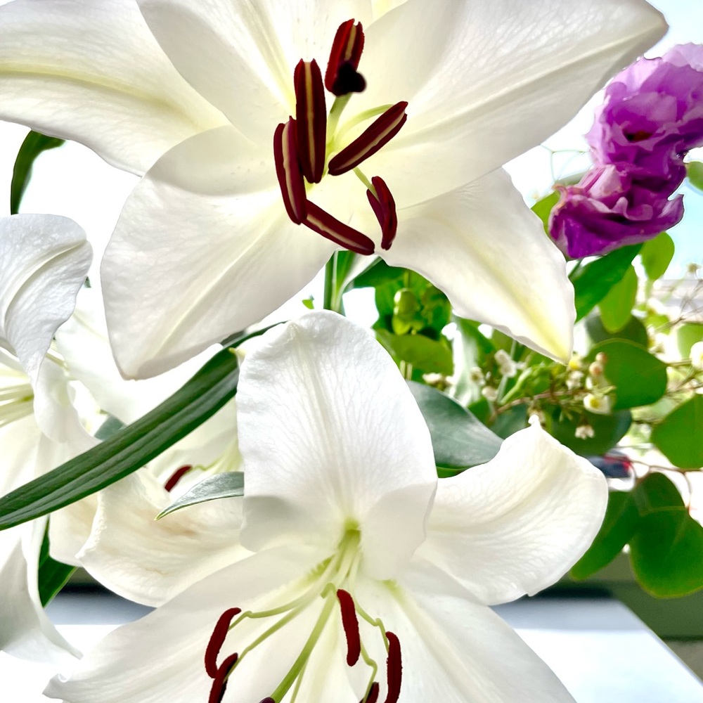 Meet your Posher, Cathy